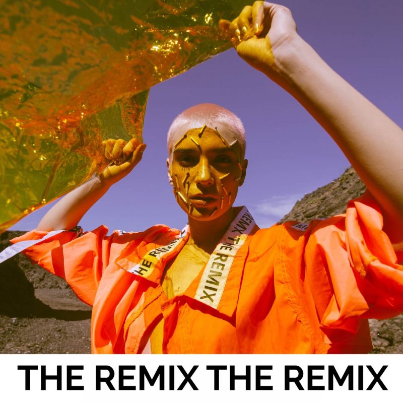 The Remix