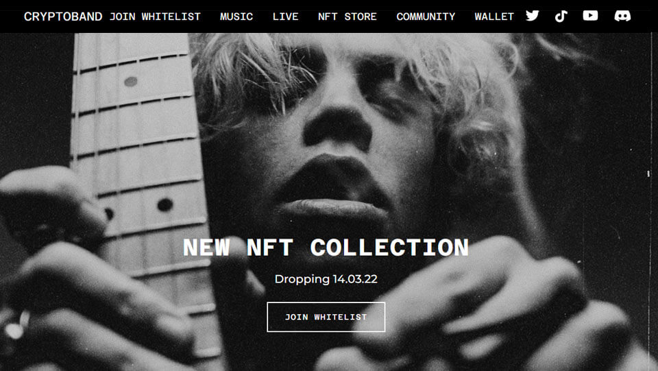 View NFT Musician WordPress Theme Desktop
